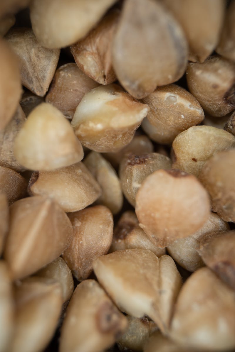 Organic Kuttu