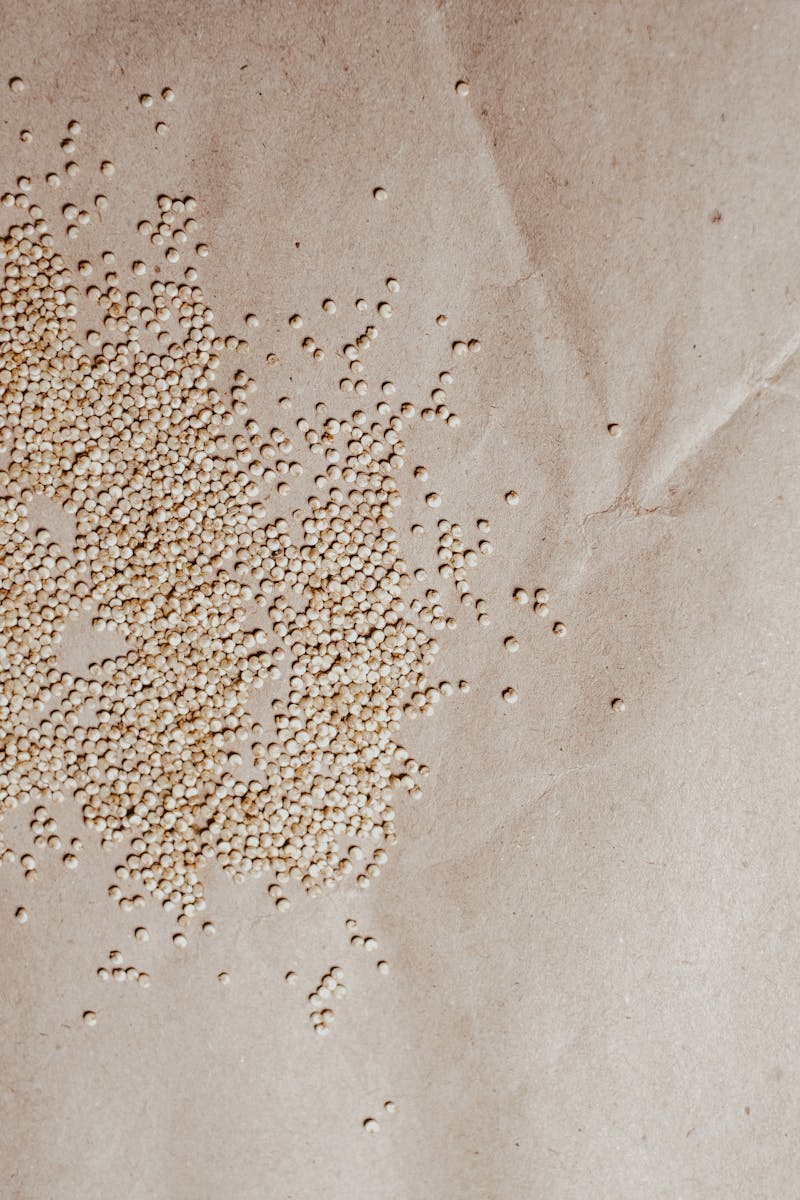 Organic Kangni / Navane