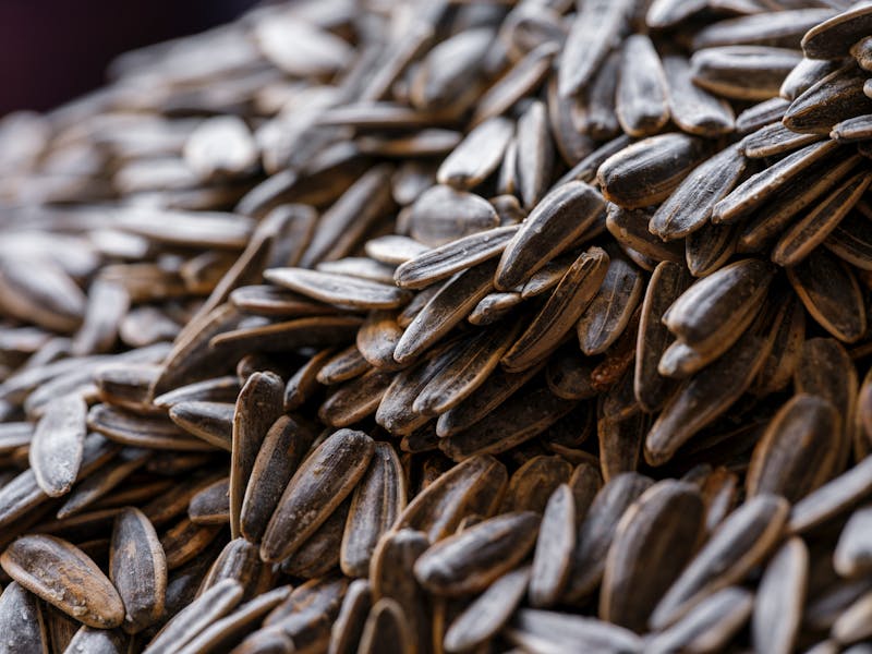 Organic Sunflower Seeds