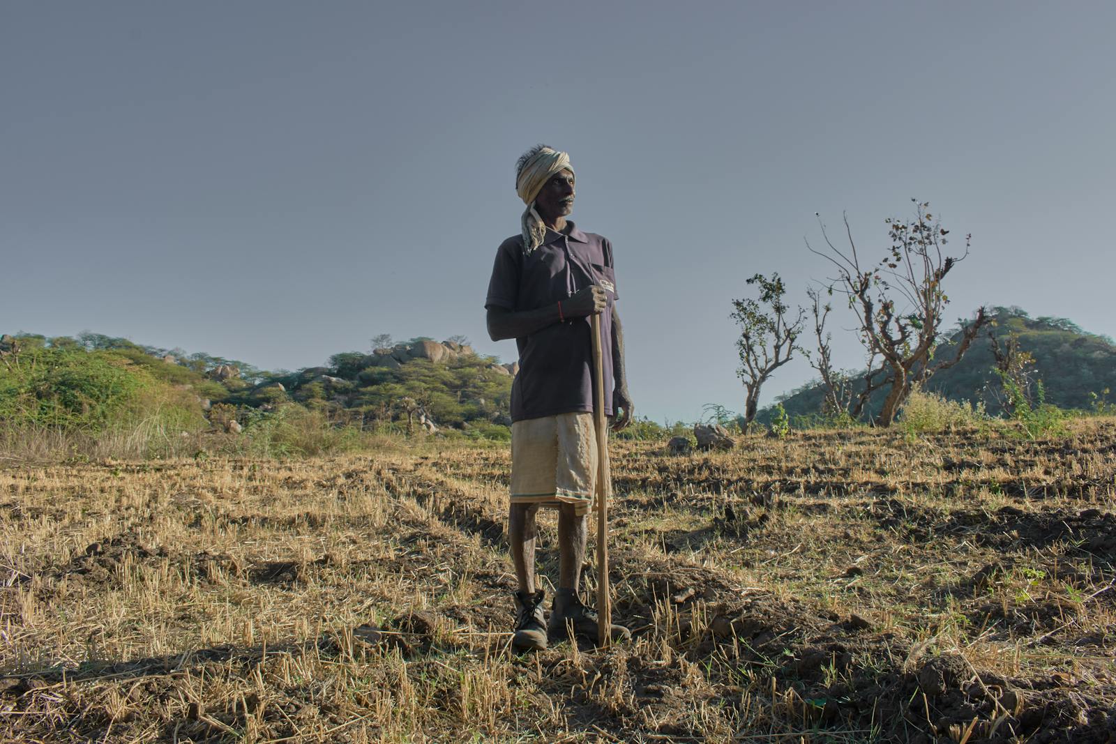 Hands sorting millets in a field